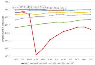 Job numbers year over year graph